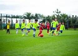 欧洲足球八,强联赛冠军,营收榜,球探足球即时比分,球探比分,球探体育比分网,比分直播