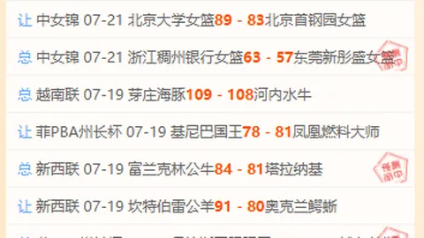 王者荣耀红牛战队新皮肤，版本更新亮点揭晓